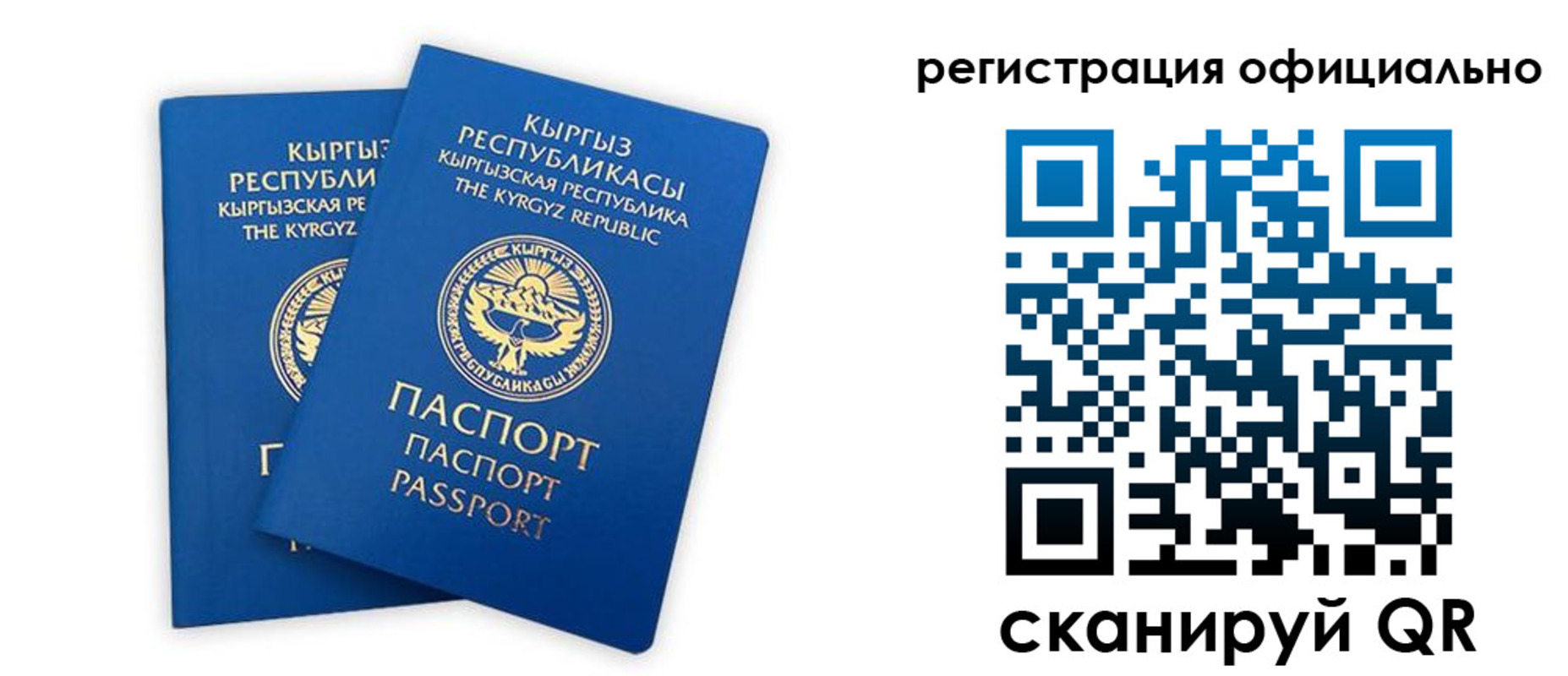 прописка поиск в Вышнем Волочке